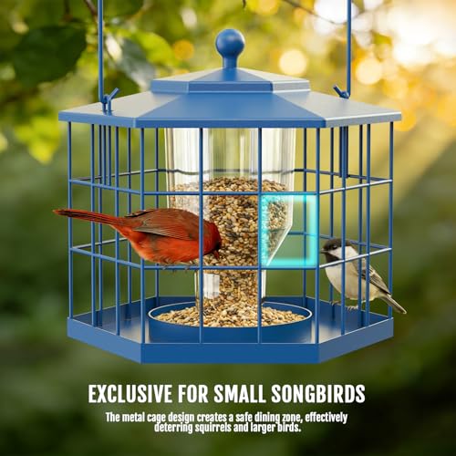 Birdream Squirrel Proof Bird Feeders for Outdoor Hanging, Metal Cage Bird Feeder with Rain Proof Covered for Wildbirds Bluebird Finches, Blue