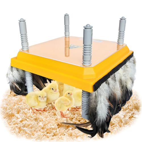 Chick Brooder Heating Plate Brooder Heat Plate for Chicks Ducklings with Feathers 10×10 Inch 15W Adjustable Height & Angle Easy Cleaning Chicks Heater