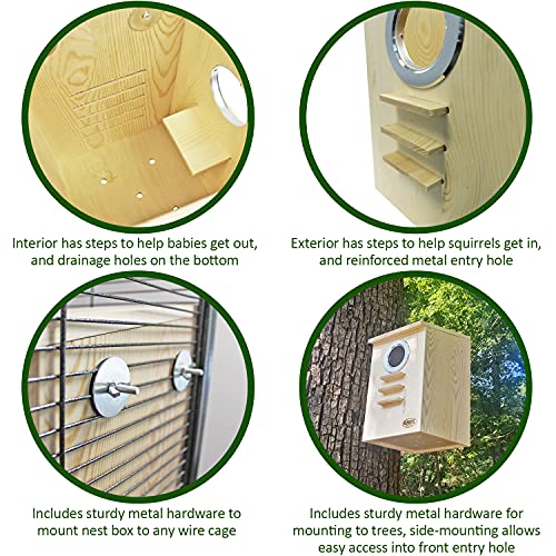 Squirrel Nest Box - Cage Attachment, Hinged Lid, Perching Ledge - for Squirrels, Sugar Glider, Rat, Finch, Parakeet, Lovebird, Canary, Cockatiel, Other Birds & Small Pets - size: Extra Large