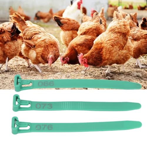 100Pcs Numbered Poultry Leg Rings 1-100 Identification Tags Reusable Bands for Chickens Ducks Geese Pigeons(Green) - color: Green