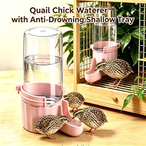 Button Quail Waterer with 1.5cm Narrow Safety Tray, 2 Pack 16.6 oz Baby Quail Chick Waterer, Automatic Gravity Water Dispenser with Integrated Hooks for Wire Mesh Cages and DIY Brooders, (Pink)