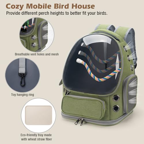 Bird Backpack Carrier Travel Cage with Perch, Tray and Breathable Clear Window, Bird Travel Cage for Cockatiel Caique Conure Quaker, for Vetting Camping Hiking (Green) - color: Green