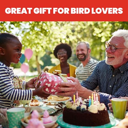 More Birds Bird Health+ Ruby Hummingbird Feeder, Glass Hummingbird Feeders for Outdoors, 4 Feeding Stations, 10 Ounces, Ruby Red
