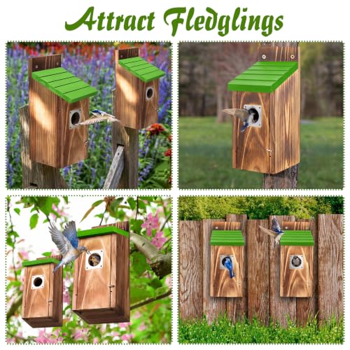 Dreyoo 2 Pack Bluebird Box Houses for Outside,1-1/2'' Entrance Hole Wooden Bird Houses with Metal Guard, Secure Latch,Fledgling Grooves,Air Vents for Bluebird Wren Swallow(Green Roof,Burnt Wood Body) - color: Green Roof,Burnt Wood Body