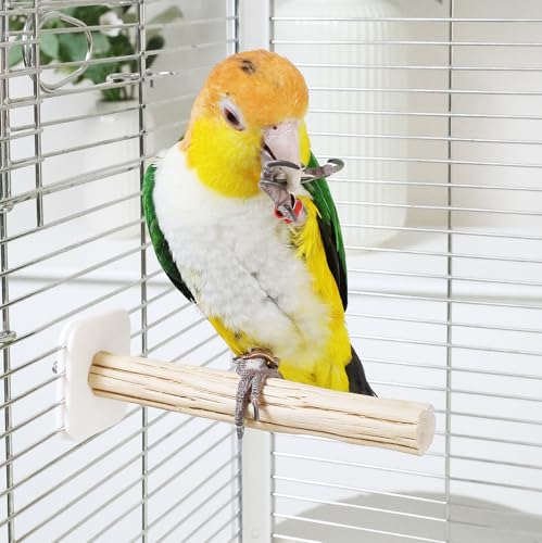 Natural Wood Bird Perch for Cage – Chewing & Claw Trimming Perch Toy for Parrots, Cockatiels, Budgies (Small 6.9") - size: Small 6.9"