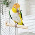 Natural Wood Bird Perch for Cage – Chewing & Claw Trimming Perch Toy for Parrots, Cockatiels, Budgies (Small 6.9") - size: Small 6.9"
