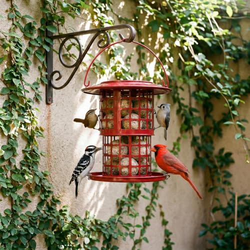 KOL Metal Suet Ball Feeder for Birds – Single-Layer Expandable Design Suet Bird Feeder, Heavy-Duty Wild Bird Feeder with Secure Lid, Large Capacity for Backyard (Red) - color: Red