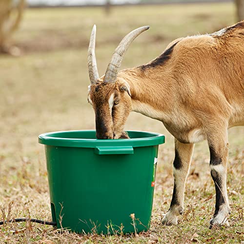 Farm Innovators Heated Water Bucket, 200W Heating Power - 16 Gallon Plastic Bucket with Replaceable Heating Element for Livestock Watering & Feeding | Thermostatically controlled to operate only when necessary, large 16-gallon capacity, anti-chew cord - c