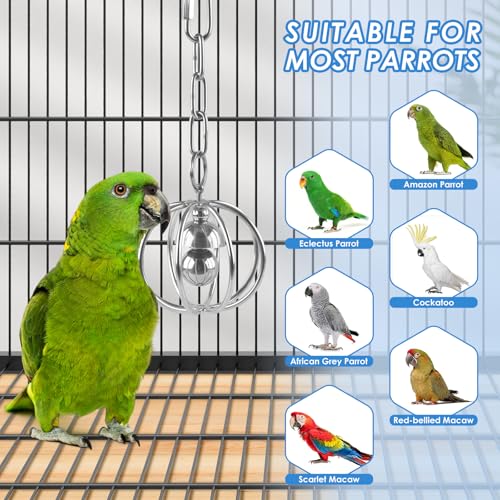 DBNESS Heavy-Duty Stainless Steel Bird Toy for Parrots, Durable Hollow Foraging Ball with Detachable Chain, Chew-Proof Parakeet Training Toys for Macaws, Amazons, Eclectus, African Greys, Cockatoos