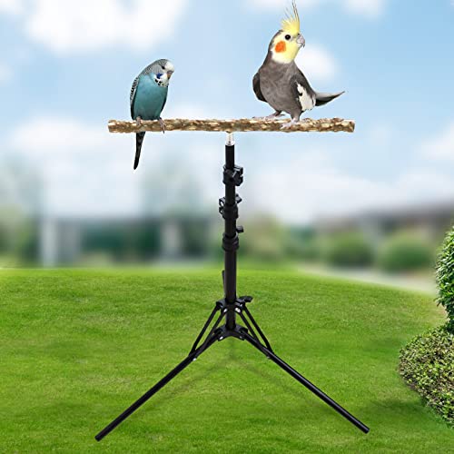 16-63 Inch Adjustable Bird Perch Stand, Natural Pepper Wood Parrot Training Perch Toy, Indoor & Outdoor Accessories for Small to Medium Birds Parrots Parakeets Cockatiels Conures Budgies Finches - size: Size A