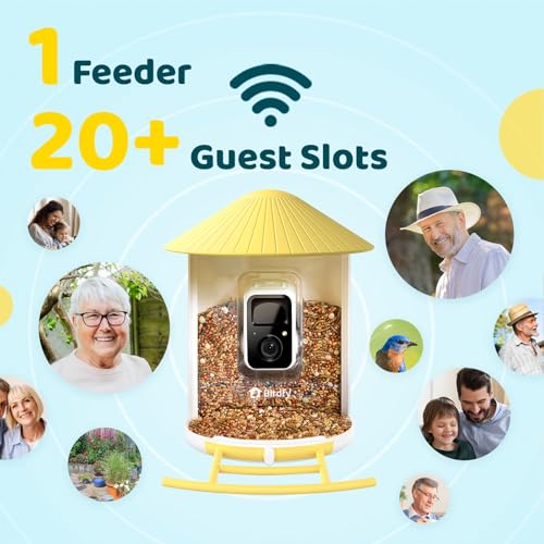 NETVUE by Birdfy Smart Bird Feeder with AI Camera, Auto Capture Videos & Live Steam, Wireless Wildbird Watching, Outdoor Backyard Birder(AI by Subscription) Yellow - color: Yellow