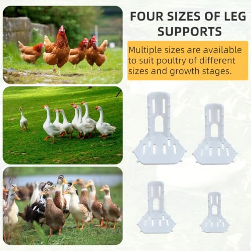 4 Sizes Poultry Leg-Splint Set, Leg Support for Injured Chicken, Goose, Duck