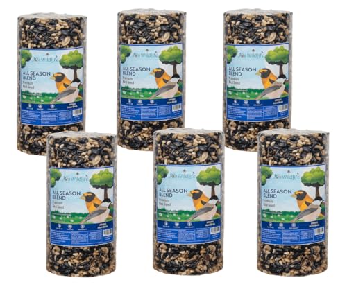 JCs Wildlife All Season Blend Bird Seed Cylinder with Hole, Suet Safflower Pecans Wild Bird Food for Outside Feeders, Cardinals Woodpeckers Chickadees Nuthatches, Made in the USA, 1.75 lb, Pack of 6