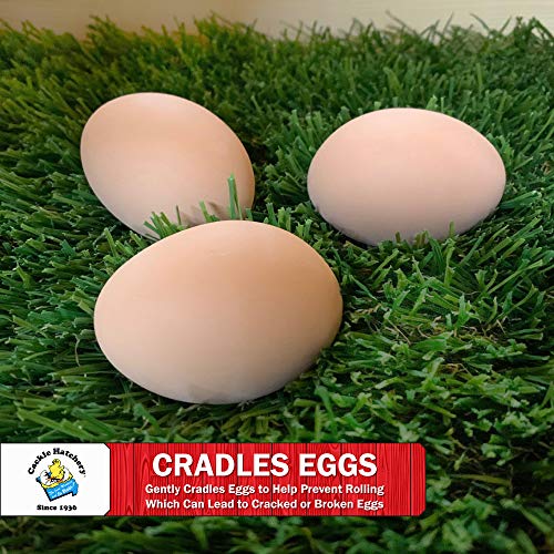 Laying Hen Nest Box Turf - Easy to Clean & Lasts for Years in Chicken Nesting Boxes (6 Pack)