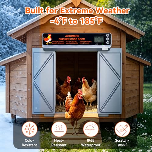 Large Automatic Chicken Coop Door Solar Powered, Anti-Pinch Auto Chicken Door with Timer, Light Sensor, LCD Display Solar Chicken Coop Automatic Door with Range 50M Remote Control