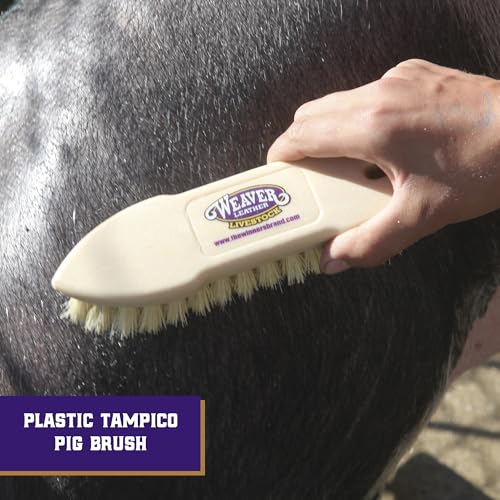 Weaver Livestock Tampico Pig Brush, Plastic Grooming Brush for Dirt Removal, Soft Bristle Tampico Brush for Smooth Hair, Daily Show Pig Grooming Tools