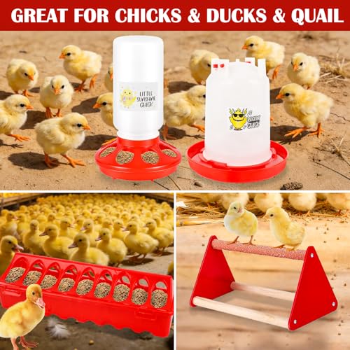 Chicken Feeder and Waterer Set with Chick Perch, Cool Baby Chick Feeder and Waterer Set, Chick Waterer, Baby Chicken Supplies for Small Poultry Chicks Ducks Quail Pigeons Birds(RED)