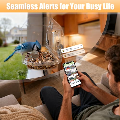 Window Bird Feeder with Strong Suction Cups & Smart Waterproof Bird Camera | 2K Clear Vision, AI Bird Recognition Tech, Real-Time Alerts, Easy to Use, Detachable Tray, 2.4G, USB Powered, for Home - color: Black