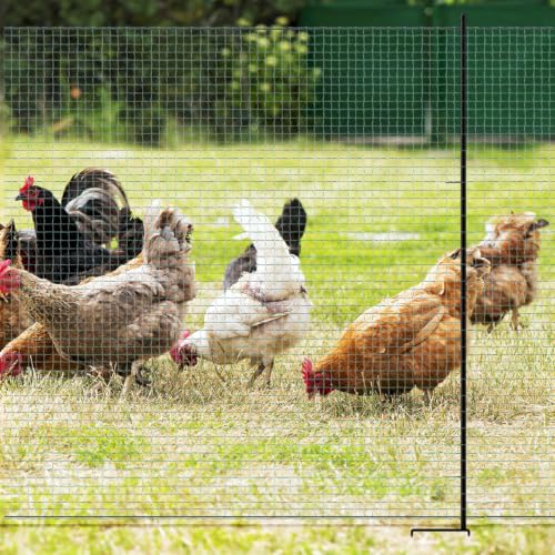Non Electric Fence Netting 40" x100', Boundary Fence with Double Spiked Posts, Portable Poultry Fence All-Purpose Fencing for Dogs, Chickens, Ducks, Turkeys Suitable in Backyard, Garden, Farm
