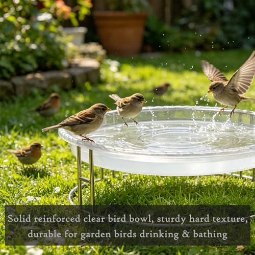13-Inch Ground Bird Feeder and Bath Combo, Stainless Steel Ground Feeding Platform for Birds & Squirrels, with Dual Birdseed Mesh Trays, Birdbath, Attracting Creatures to Backyard, Patio - color: bird feeder & bath combo