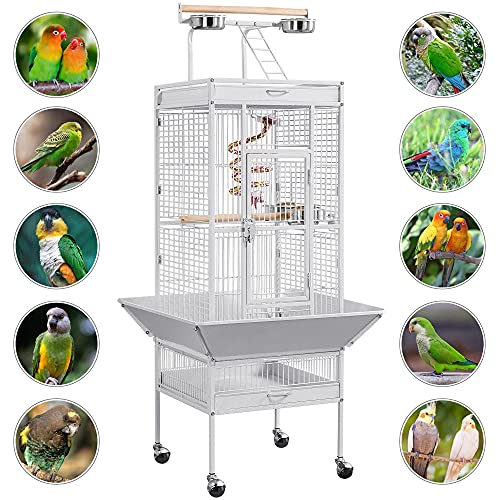 Yaheetech Wrought Iron Bird Cages, Play Top Large Aviary with Stand for Cockatiel Parrot Sun Parakeet Conures Lovebird Budgie Finch African Grey White, 61-inch - color: White