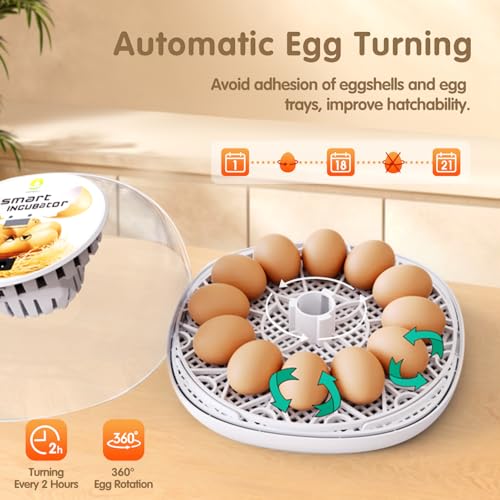 Incubators for Hatching Eggs Quail Egg Incubator 12 Eggs with Automatic Egg Turning and Humidity Control 360° Viewing for Chicken, Ducks, Goose, Pigeon for Lab Farm and Home