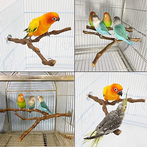Natural Parrot Perch Wild Grape Stick Bird Standing Pole Claw Grinding Fork Parrot Climbing Standing Branch Toy Chewable Cage Accessory Small Budgies Love Birds 4PCS