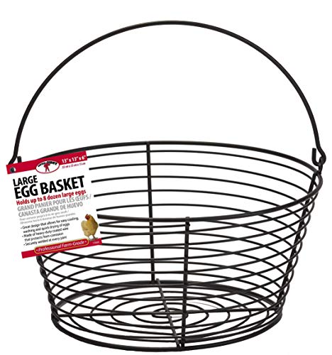 Little Giant® Large Egg Basket | Basket for Carrying and Collecting Chicken Eggs - size: Large