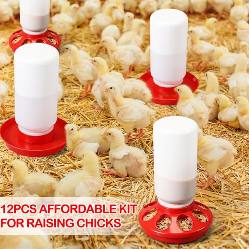 AceOrbit 12 Pcs 0.3 Gal Chick Feeder and 0.3 Gal Waterer Set Baby Chicken Supplies Poultry Starter Kit Plastic No Waste Chick Coop Brooder Accessories for Small Chicken Quail Pigeon Duckling Birds