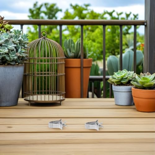 CLISPEED 3Pcs Stainless Steel Bird Cage Food Clips for Parrot Vegetable Holder Food Fixing Clips for Small Birds Easy Installation for Clean Cage Feeding