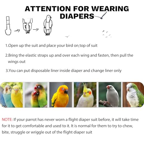 QBLEEV Bird Diaper Flight Suite, Reusable Parrot Nappy Cockatiel Clothes | Soft & waterproof inner layer, cute pigeon pants urine wet suit costume for conure macaw african budgies sun parakeet - color: Rabbit, size: S