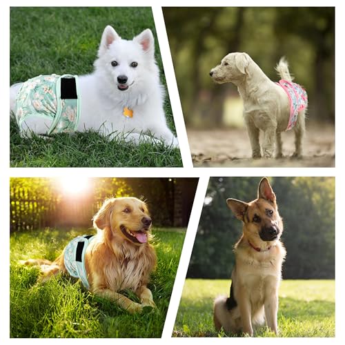 3Pack Dog Diapers Female,Washable Diaper for Doggie,Highly Absorbent Reusable Dog Diaper,Adjustable Leakproof Puppy Girl Dog Diapers for Heat,Incontinence,Period Doggy Nappies - color: Purple, size: M(12"-15"Waist)