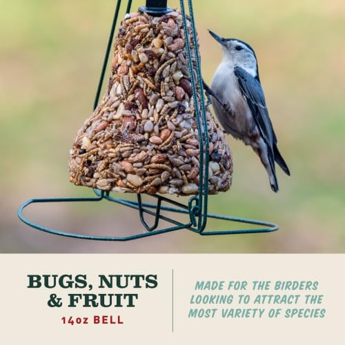 Mr. Bird Bugs, Nuts & Fruit Wild Bird Seed Bell, 2-Pack, 12.5 oz | Premium Blend of Mealworms, Sunflower Hearts & Cranberries | No Melt | Handcrafted in Texas - size: 12.5 Ounce (Pack of 2)