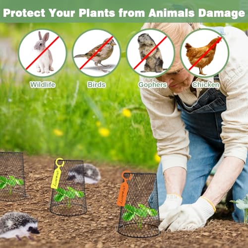 10 Pcs 6.8"×7.4" (Multiple Sizes/Quantities Available) Seedling Plant Protectors from Animals, Chicken Wire Plant Cage Garden Cloche to Protect Plants Vegetables from Rabbits Squirrels Chicken - size: 6.8"×7.4"