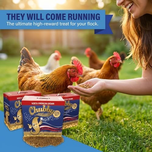 Chubby North American Grown Dried Mealworms | 30 lbs | Non-GMO High-Protein Treats for Chickens, Ducks & Wild Birds – Sustainable Chicken Feed - size: 30 Pound (Pack of 3)