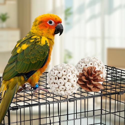 Kyouki Bird Toys Parrot Toys Natural Bird Foraging Box Foot for Parakeets,Cockatiels,Conures,Love Birds,and Other Small to Medium Birds (Medium) - size: Medium