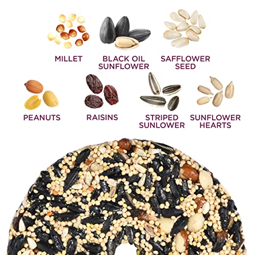 Audubon Park Nut & Fruit Snack Stack Wild Bird Food, Bird Seed Cake for Outside Feeders, 6-Pack | Bird Seed Cake for Outside Feeders