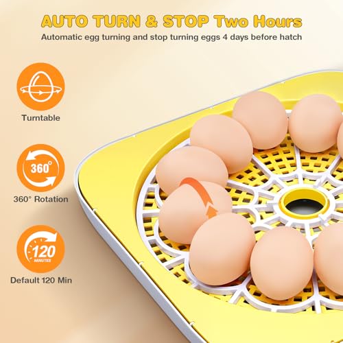 Sailnovo 12 Egg Incubators for Hatching Egg with Auto Humidification | Temperature Control, Automatic Egg Turning,Egg Candler,Incubator for Chicken Duck Quail Eggs,Ideal for Farm, School - color: Grey-White-Yellow, size: Hatch 12