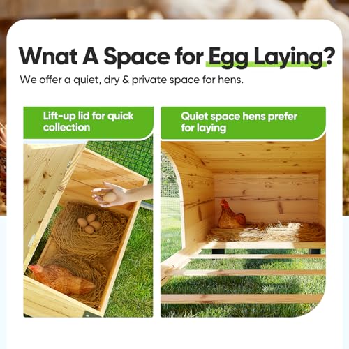 Quictent Large Metal Chicken Coop Run for 20+ Poultry w/Beige Nest Box | Side Hardware Cloth & Cover, Advanced Series Outdoor Walk-in Cage Hen Duck Rabbit Dog Pen Yard Farm House, 12x9x6.6FT - color: Beige, size: 142.4"L x 107.3"W x 78.0"H