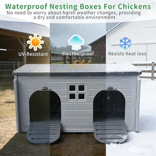 Nesting Boxes for Chickens, Plastic Chicken Nesting Box with Door Or Ramp | Waterproof 2 Compartment Chicken Nesting Box for Laying Eggs for Hens, Ducks and Poultry, Clean and Assemble Easily - color: Grey, size: 41.0"L x 20.8"W x 20.3"H