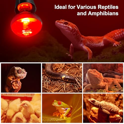 MIXJOY 100W Infrared Heat Lamp Bulbs, 2 Pack Reptile Infrared Heat Emitter Red Heat Lamp Bulbs Infrared Basking Light Bulbs for Reptiles, Bearded Dragon, Lizard, Tortoise, Chickens, Pets - style: 100W Infrared Bulbs