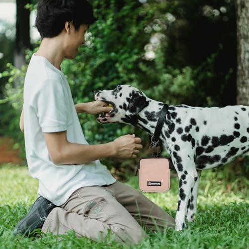 Dog Treat Pouch with Training Clicker,Waterproof Nylon Fabric Poop Bag Holders for Leashes,Hands Free Small Dog Walking Bag with Carabiner, Pet Puppy Training Walking Essentials (Coffee) - color: Coffee