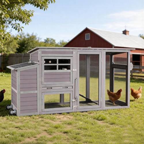 Aivituvin Chicken Coop Hen House, Large Outdoor Wooden Poultry Cage with Ramps, Run, Nesting Box, Removable Tray, Weather-Proof Chicken Cage (Grey, AIR31) - color: Grey, size: 74.9"L x 26.0"W x 39.4"H