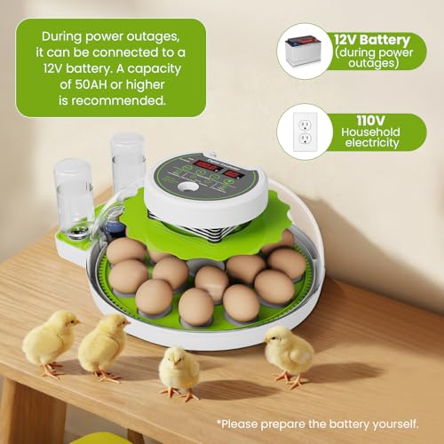 18-Egg Incubator with Automatic Egg Turning & Humidity Control, HD Panoramic View, Built-in Candler for Hatching Chicken, Duck, Quail Eggs Farms, Science Labs, Classroom, Home Use