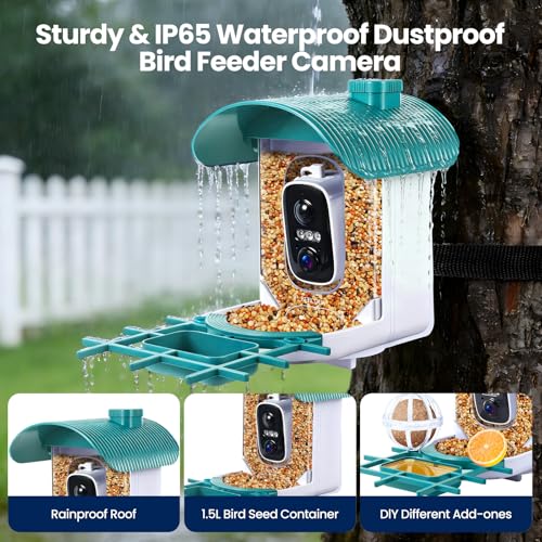 Smart Bird Feeder with Camera : 2K HD Video Live Stream, AI Birds Species Identification ＆ Instant Arrival Alerts, Solar Bird Feeder Camera for Outdoor Backyard, Ideal Gifts for Families nature lovers - color: Green