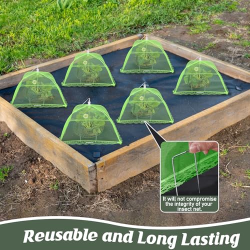 4 Sets Strawberry Plant Support with Mesh Plant Cover,Strawberry Growing Racks Sets with Iron Plant Nails and Storage Bag for Garden Strawberry Vegetables(Green Net - Round) - color: Green Net - Round