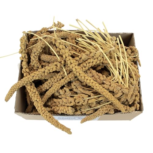 A&E Cage Co Premium French Millet Spray Bird Treat, 6 Piece 3 oz Pack | Grown in France, Natural Spray Millet, Encourages Foraging, For Parakeets, Cockatiels, Finches & Canaries - size: 3 Ounce
