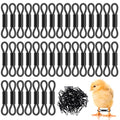 SynHHergyx Baby Chick Leg Bands, 100 Pcs Adjustable Splay Leg Bands for Chicks Poultry Legbands Chicken Hobble Braces for Newborn Spraddle Leg of Chick Quails Ducks Bird of 1 to 3 Days Newly Hatched