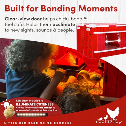 RentACoop Little Red Barn Chick Brooder