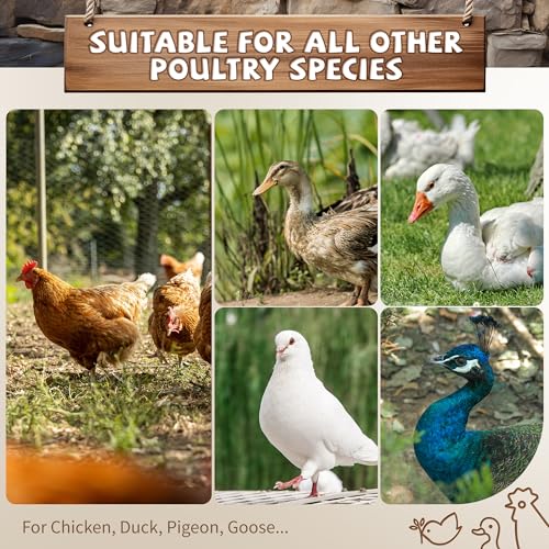 Large Chicken Roosting Bars with Swing (74.4"), Sturdy Metal Chicken Perch for Coop, Heavy Duty Jungle Gym Ladder for Hens, Entertainment Accessories & Toys for Backyard Poultry, Easy to Clean - size: 74.4in x 40.6in